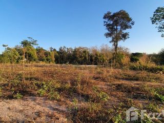 For sale land in Mae Taeng, Chiang Mai