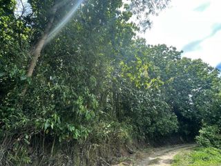 For sale land in Thung Chang, Nan