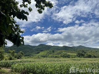 For sale land in Thung Chang, Nan