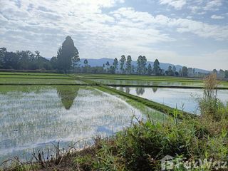For sale land in Wiang Chai, Chiang Rai