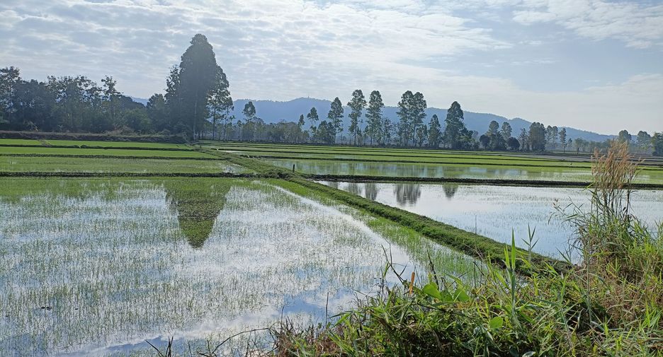 For sale land in Wiang Chai, Chiang Rai