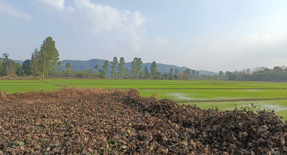 For sale land in Wiang Chai, Chiang Rai