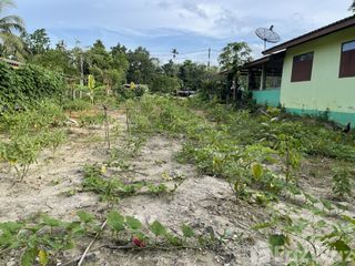 For sale land in Tamot, Phatthalung