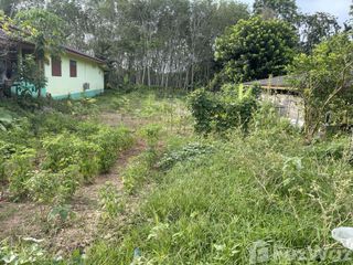 For sale land in Tamot, Phatthalung