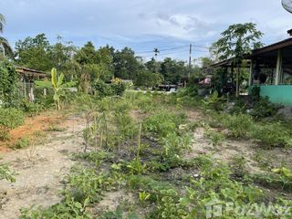 For sale land in Tamot, Phatthalung