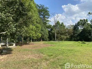 For sale land in Takua Pa, Phang Nga