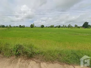 For sale land in Si Rattana, Sisaket