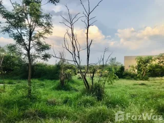 For sale land in Sung Noen, Nakhon Ratchasima