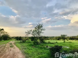 For sale land in Sung Noen, Nakhon Ratchasima