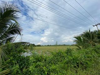 For sale land in Nakhon Chai Si, Nakhon Pathom