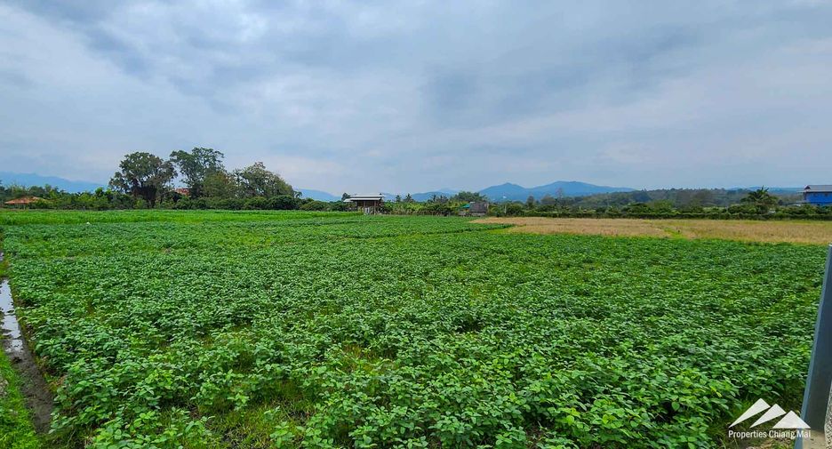 Casa en venta de 4 habitaciones en San Pa Tong, Chiang Mai