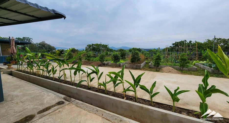 Casa en venta de 4 habitaciones en San Pa Tong, Chiang Mai