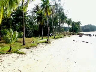 For sale land in Takua Pa, Phang Nga