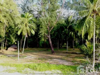 For sale land in Takua Pa, Phang Nga