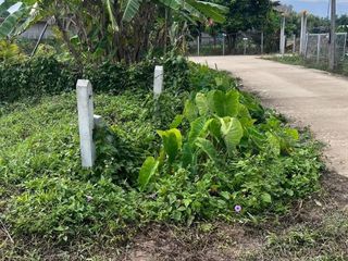 For sale land in Mueang Chiang Rai, Chiang Rai