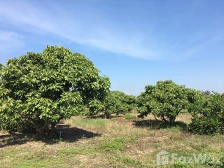 For sale land in Mueang Lamphun, Lamphun