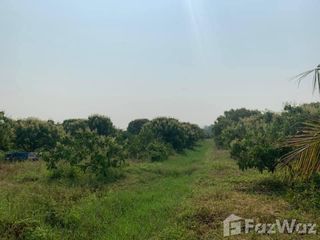 For sale land in Mueang Lamphun, Lamphun