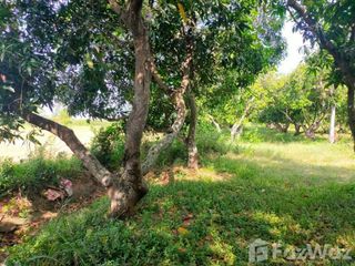 For sale land in Nong Saeng, Saraburi