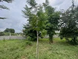 For sale land in Chom Bueng, Ratchaburi