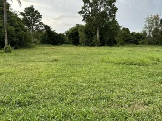 For sale land in Mueang Sakon Nakhon, Sakon Nakhon