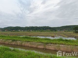 For sale land in Chiang Dao, Chiang Mai