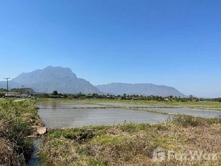 For sale land in Chiang Dao, Chiang Mai