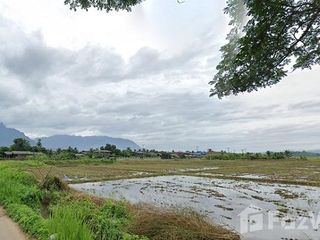 For sale land in Chiang Dao, Chiang Mai
