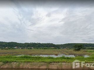 For sale land in Chiang Dao, Chiang Mai