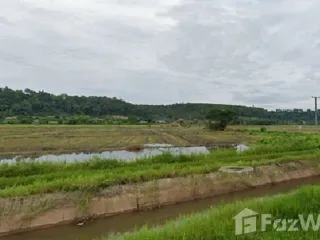 For sale land in Chiang Dao, Chiang Mai