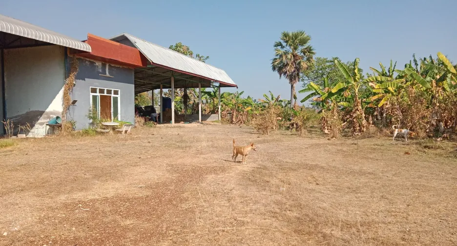 For sale 2 bed house in Ban Khwao, Chaiyaphum
