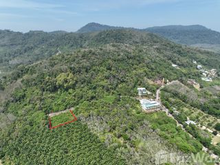 For sale land in Thalang, Phuket