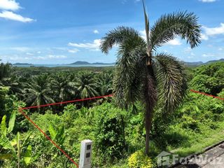 For sale land in Thalang, Phuket