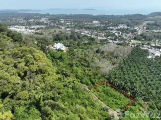 For sale land in Thalang, Phuket