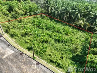 For sale land in Thalang, Phuket