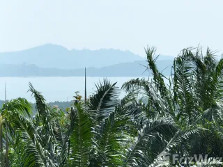 For sale land in Thalang, Phuket