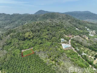 For sale land in Thalang, Phuket