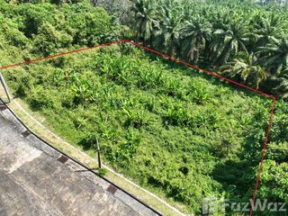 For sale land in Thalang, Phuket