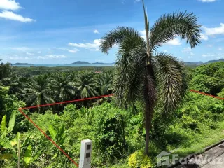 For sale land in Thalang, Phuket