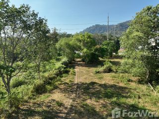 For sale land in Thalang, Phuket
