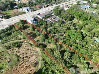 For sale land in Thalang, Phuket