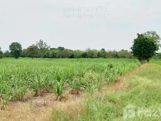 For sale land in Noen Kham, Chainat