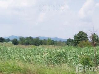 For sale land in Noen Kham, Chainat
