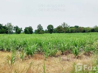 For sale land in Noen Kham, Chainat
