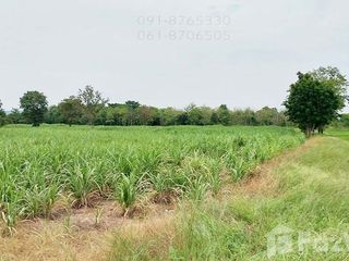 For sale land in Noen Kham, Chainat