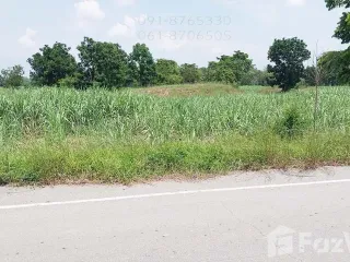 For sale land in Noen Kham, Chainat