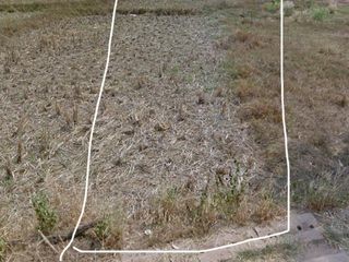 For sale land in Mueang Nong Khai, Nong Khai