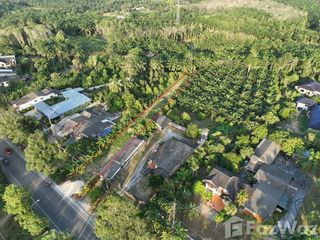 For sale land in Mueang Phangnga, Phang Nga