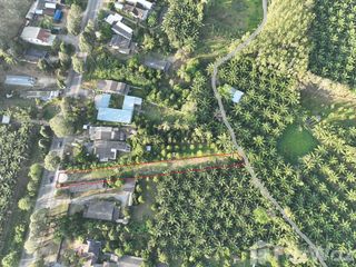 For sale land in Mueang Phangnga, Phang Nga