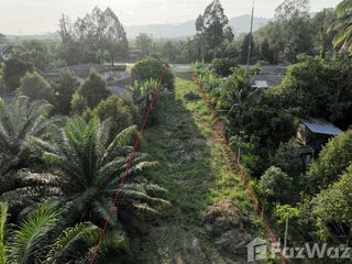 For sale land in Mueang Phangnga, Phang Nga