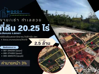 For sale land in Singhanakhon, Songkhla